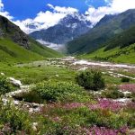 उत्तराखंड में एक जून से सैलानी कर सकेंगे वैली ऑफ फ्लावर का दीदार