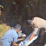 पेयजल टैंक में नरकंकाल मिलने से हड़कंप